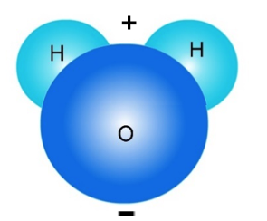 H2O molecule with charges