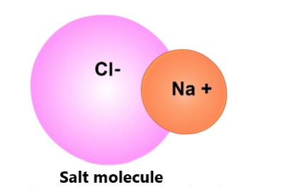 NaCl molecule