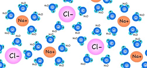 NaCl molecules surrounded by water molecules