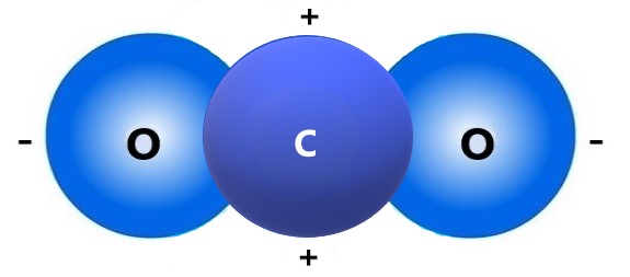 CO2 molecule